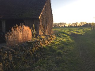 Hagen