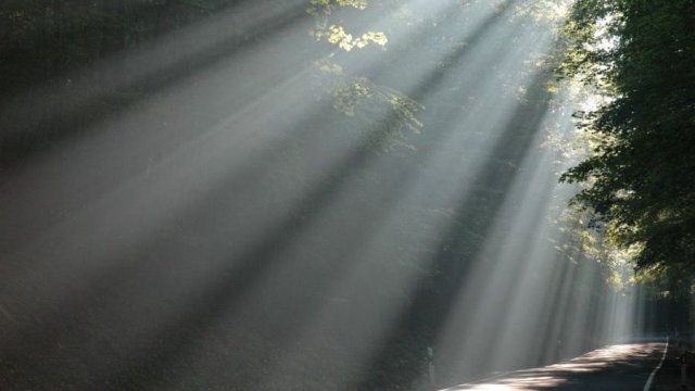 Licht Tantra 2012