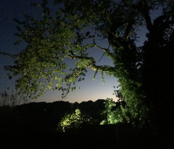 Festival