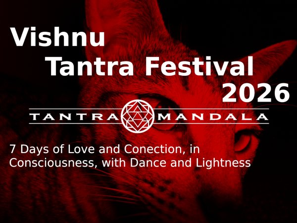 Festival